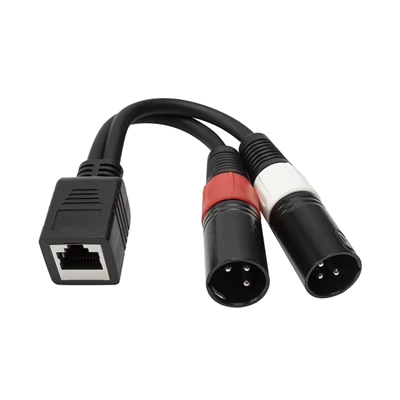 Гнездо RJ45 для двух разъемов XLR Аудиокабель